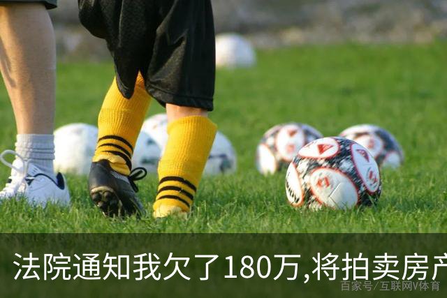 法院通知我欠了180万,将拍卖房产,可我从没借过钱,查征信后我怒了